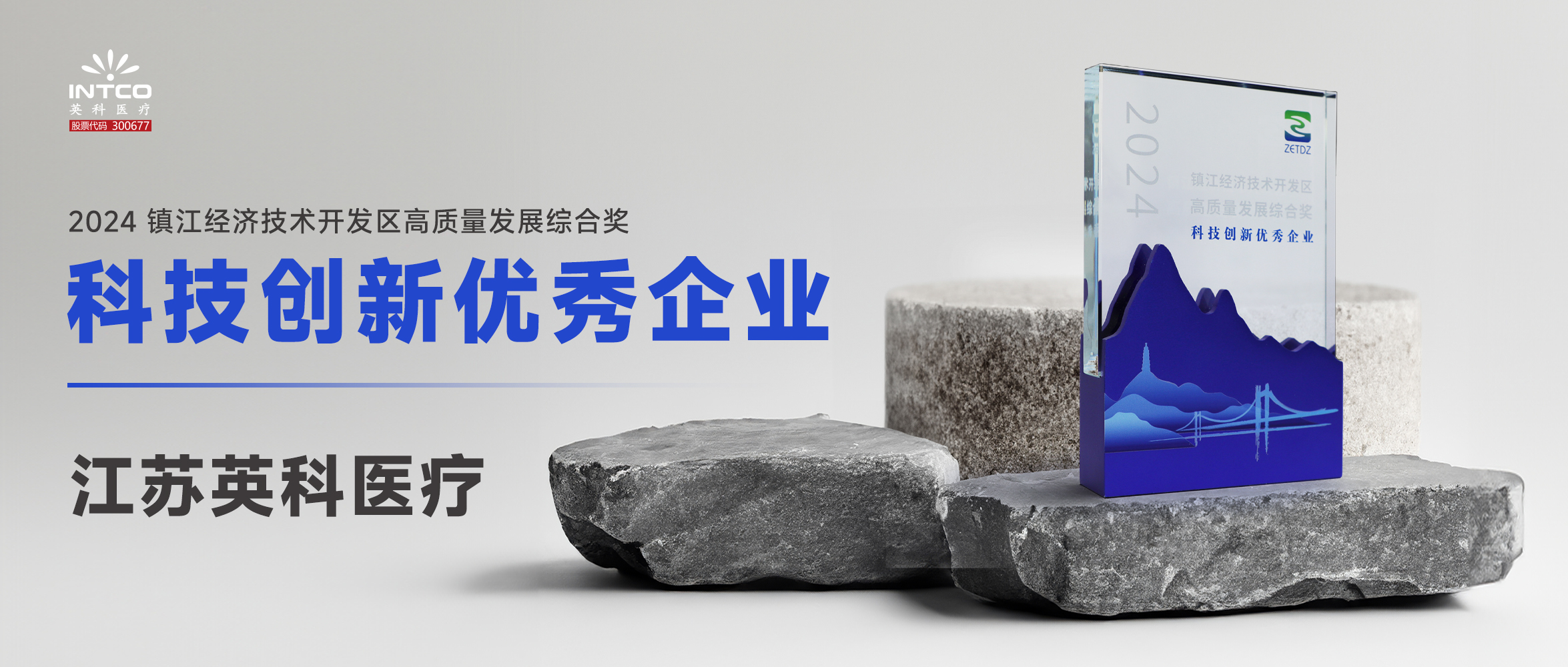 江苏腾博官网医疗荣膺镇江经济手艺开发区“高质量生长综合奖-科技立异优异企业”